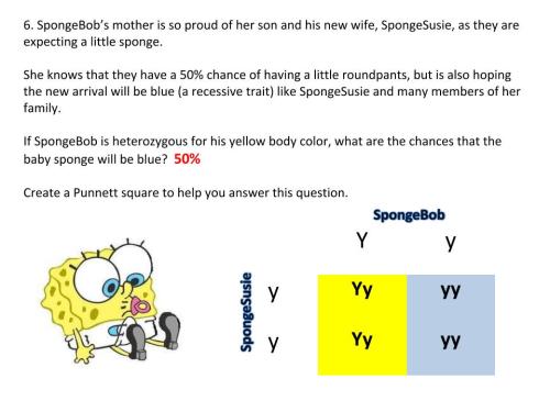 Genetics With Spongebob Learning How To Use Punnett Squares Middle School Science Blog